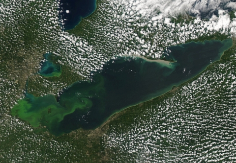 Lake Erie Algal Bloom - August 2015. Photo Credit: NOAA Great Lakes CoastWatch